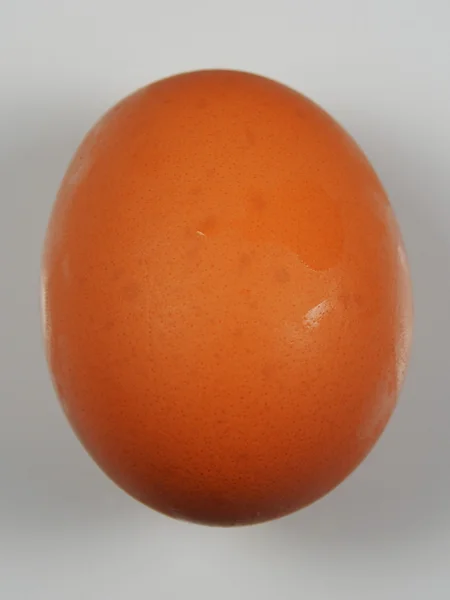 Uncooked Egg — Stock Photo, Image