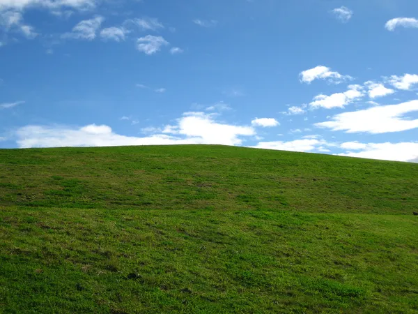 Травяной холм Стоковое Фото