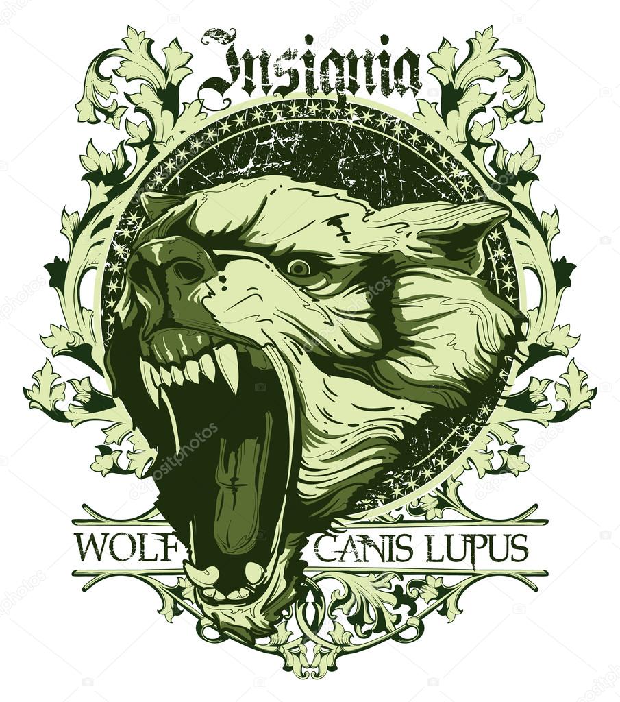 Canis lupus insignia