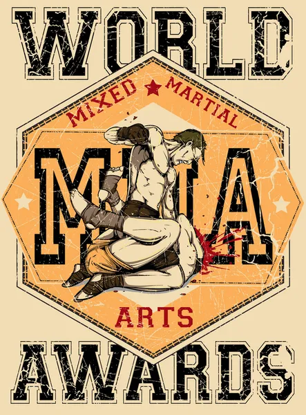 Artes marciales mixtas — Archivo Imágenes Vectoriales