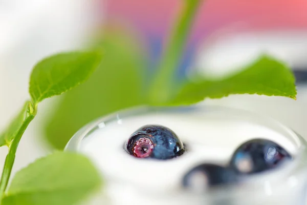 Blaubeeren in einem kleinen Glas mit Joghurt — Stockfoto