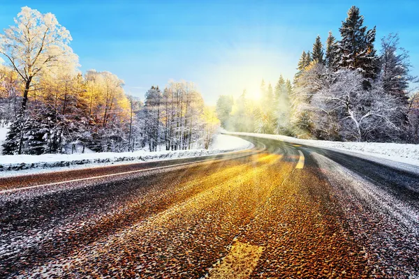 Kış güneş ışığı altında yol — Stok fotoğraf