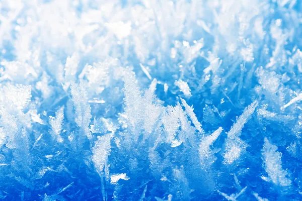 Frost background, closeup — Stock Photo, Image