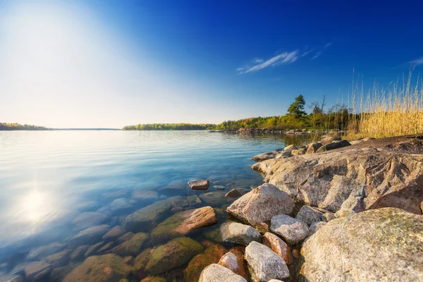 Kust met rotsen en bomen — Stockfoto