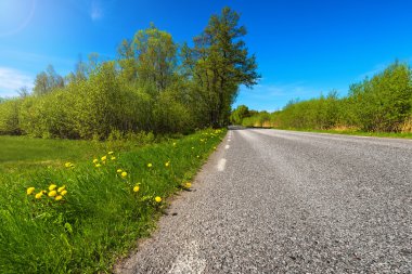 Country road in summer clipart