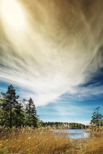 Bay with grass and clouds, Sweden — Stock Photo, Image