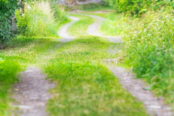 Route de campagne dans le paysage rural — Photo