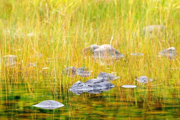 Stenar i en damm nära havet — Stockfoto