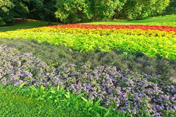 Macizo de flores en colores del arco iris en un parque de Estocolmo durante el verano —  Fotos de Stock
