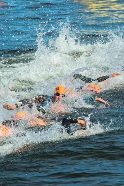 Stockholm - aug, 24: efter starten med simning av händelsen womens itu world triathlon serien 24 aug 2013 i stockholm, Sverige — Stockfoto