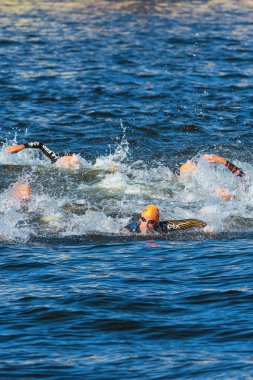 Stockholm - Ağustos, 25: tony dodds (nzl) yüzme mens kaotik Başlat) odak Stockholm, İsveçli mens İTÜ dünya triatlon serisi olay 25 Ağustos 2013