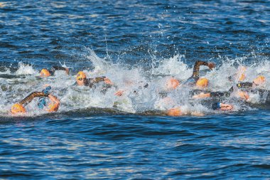 Stockholm - Ağustos, 25: mens İTÜ dünya triatlon serisi olay 25 Ağustos 2013 stockholm, İsveçli Yüzme mens kaotik Başlat