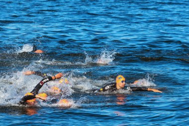 STOCKHOLM - AUG, 25: The chaotic start in the mens swimming with Tamas Toth (HUN) in focus at the Mens ITU World Triathlon Series event Aug 25, 2013 in Stockholm, Swede clipart