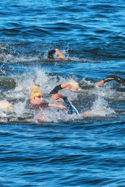 Stockholm - Ağustos, 25: mens İTÜ dünya triatlon serisi olay Soğuk suya 25 Ağustos 2013 stockholm, İsveçli Yüzme mens kaotik Başlat