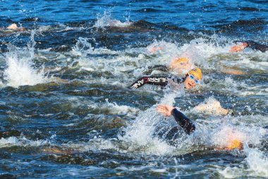 Stockholm - Ağustos, 25: (14,7 derece c) soğuk suda mens İTÜ dünya triatlon serisi olay 25 Ağustos 2013 stockholm, İsveçli Yüzme mens başladıktan sonra
