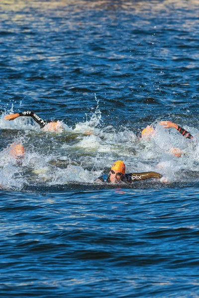 Stockholm - aug, 25: kaotisk start i mens simma med tony dodds (nzl)) i fokus vid mens itu world triathlon serien händelsen den 25 augusti, 2013 i stockholm, svensk — Stockfoto