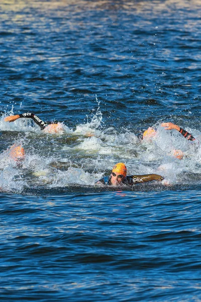 Stockholm - 25. aug: der chaotische start im herrenschwimmen mit tony dodds (nzl)) im fokus bei der herren itu world triathlonserie event 25. aug 2013 in stockholm, schweden — Stockfoto