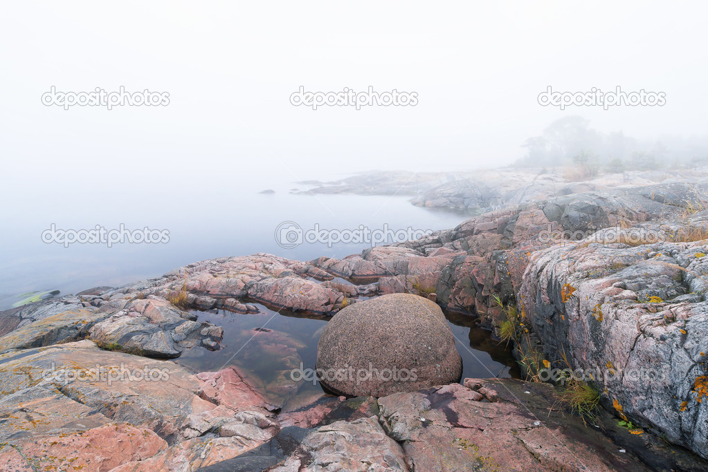 Foggy morning at coastline during late summer