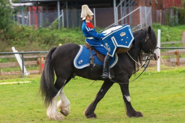 Stockholm - Eylül, 22: tor Arena geçirerek drumhorse bağlı Muhafız olay için toplum içinde ryttarstadion 22 Eylül 2013 içinde stockholm, İsveç