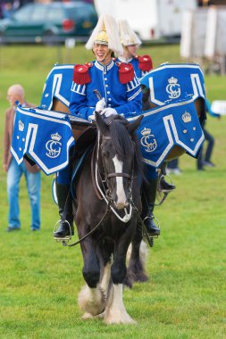 Stockholm - Eylül, 22: tor ve oden arena'bırakarak davul atlar (shire ATI) bağlı Muhafız olay için toplum içinde ryttarstadion 22 Eylül 2013 içinde stockholm, İsveç