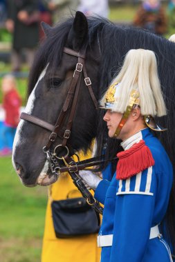 Stockholm - Eylül, 22: closeup shirehorse Tor drumhorse Arena, halk içinde ryttarstadion 22 Eylül 2013 içinde stockholm, İsveç için bağlı Muhafız olay
