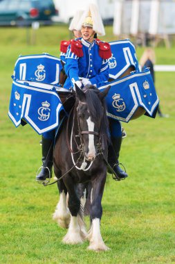 Stockholm - Eylül, 22: tor ve oden arena'bırakarak davul atlar (shire ATI) bağlı Muhafız olay için toplum içinde ryttarstadion 22 Eylül 2013 içinde stockholm, İsveç