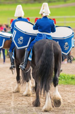 Stockholm - Eylül, 22: tor ve oden davul atları arena'bırakarak bağlı Muhafız olay için toplum içinde ryttarstadion 22 Eylül 2013 içinde stockholm, İsveç