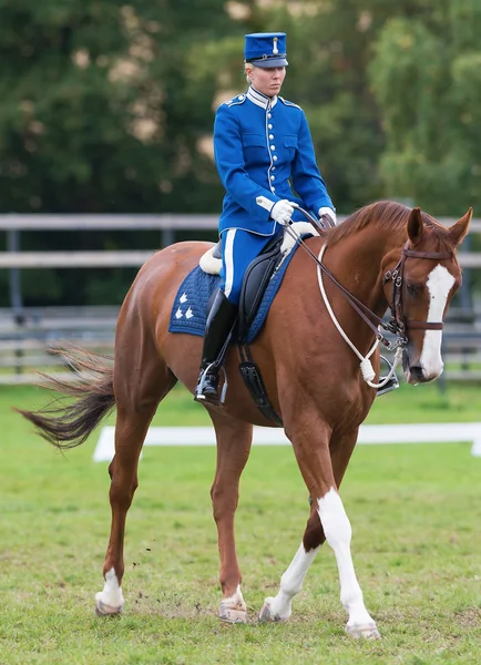 STOCKHOLM - SEP, 22: Una jinete a caballo de la guardia montada en el evento de la Guardia Montada para el público en Ryttarstadion Sep 22, 2013 en Estocolmo, Suecia — Foto de Stock