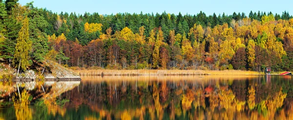 Autumn forest with reflections in a lake — Stock Photo, Image