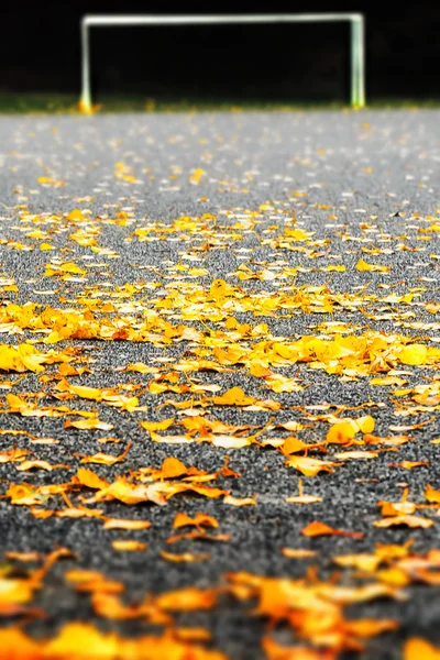 Çakıl soccerfield sonbahar yaprakları ile kaplı — Stok fotoğraf
