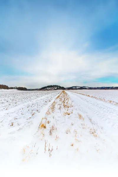 雪覆盖作物田与蓝蓝的天空 — 图库照片