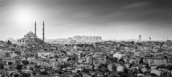 Istanbulská mešita s rezidenční oblasti v černé a bílé — Stock fotografie