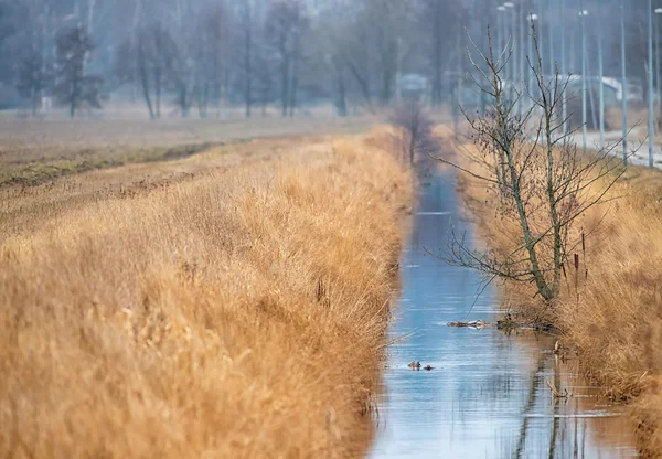 Canal de água de irrigação em uma paisagem rural — Fotografia de Stock