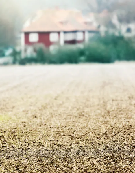 Cropfield no início da primavera com casa vermelha no fundo — Fotografia de Stock