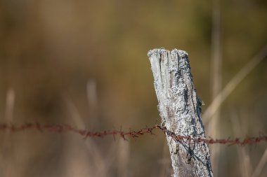 paslı dikenli tel ile eski çit direği