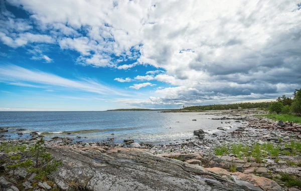 Klippiga kust med gräs mellan blocken — Stockfoto