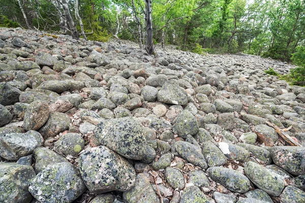 大块石垄或在瑞典 esker — 图库照片