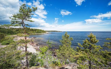Scandinavia yalak Sahili bazı çam ağaçları