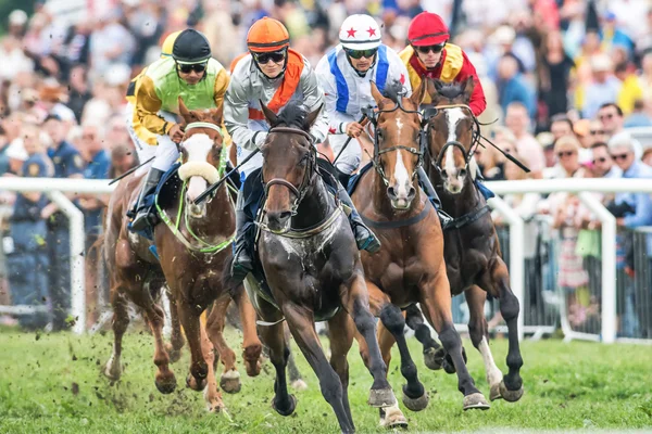 Jockeys into last curve at the Nationaldags Galoppen with the cr — Stock Photo, Image