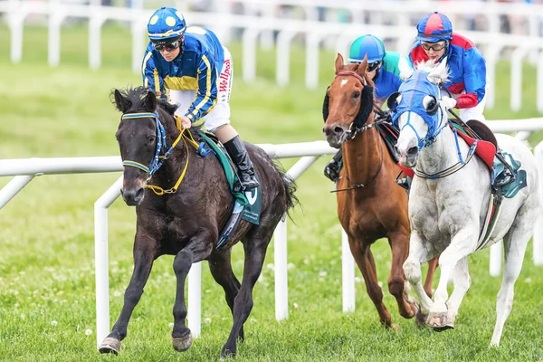 Three jockeys out of the fourth curve at the Nationaldags Galopp — Stock Photo, Image