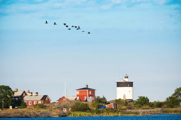 Leuchtturm in Schweden mit einer Gruppe vorbeifliegender Koromanten — Stockfoto