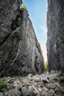 yüksek Sahili (skuleskogen) Milli parkta doğal Aralık bașlığı