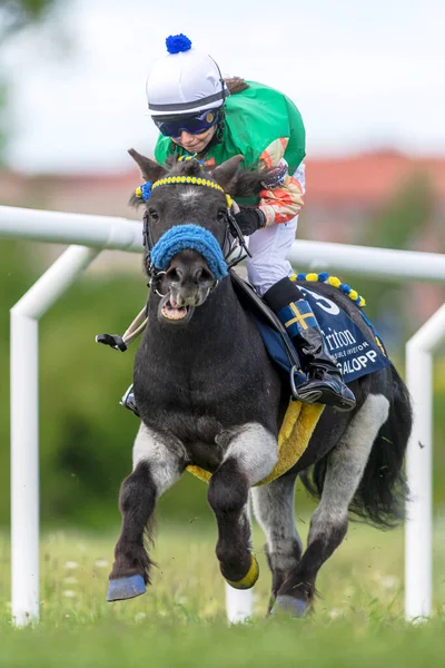 ストックホルム スウェーデン 2022年6月6日 ストックホルムのNationaldagsgaloppenで若いジョッキーを持つポニー馬 — ストック写真