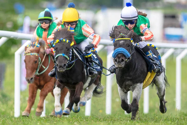 Stockholm Sweden June 2022 Ponny Horses Young Jockeys Nationaldagsgaloppen Stockholm — Stock Photo, Image