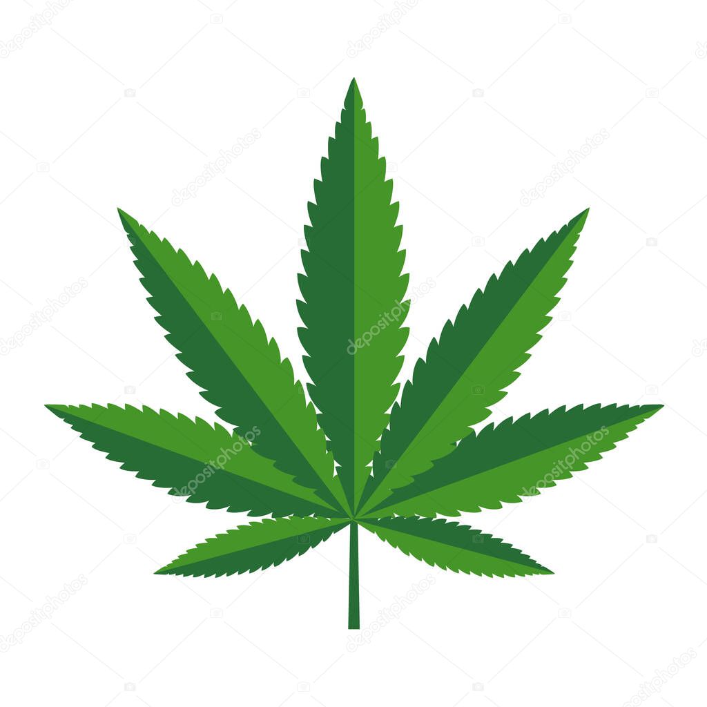Mariuhana leaf symbol, marijuana or hemp icon, cannabis medical sign, weed drug vector illustration .