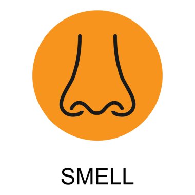 İnsan anatomisi düz burun ikonu, sağlık organı vektör illüstrasyonunu kokla, yüz işareti .