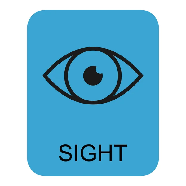Human Anatomy Flat Eye Icon Sight Health Organ Vector Illustration — Stock Vector