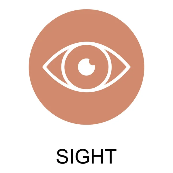 Human Anatomy Flat Eye Icon Sight Health Organ Vector Illustration — ストックベクタ