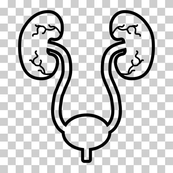 Urología Salud Icono Humano Anatomía Cuerpo Médico Vejiga Signo Biología — Vector de stock