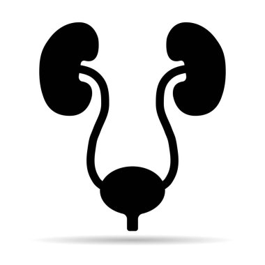 Üroloji sağlığı ikon gölgesi, anatomi tıbbi mesane işareti, biyoloji vektör çizimi .